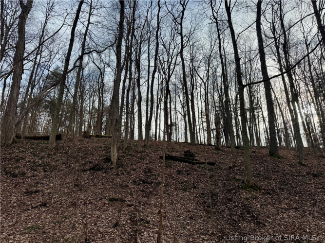Listing Image 56