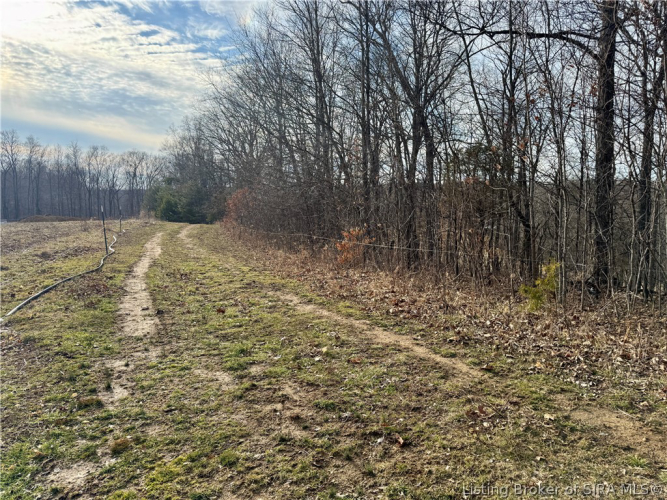 Listing Image 59