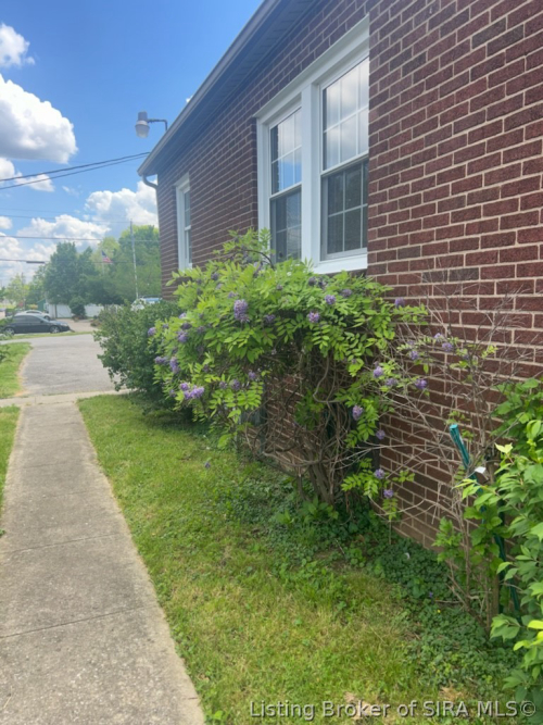 Listing Image 20