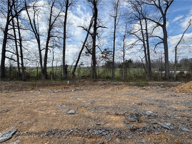 Listing Image 17