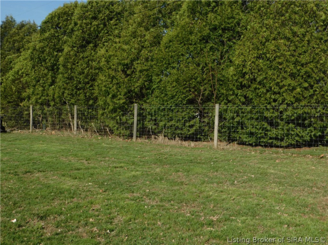 Listing Image 4