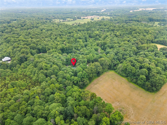 Listing Image 66
