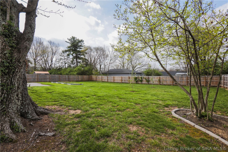Listing Image 52