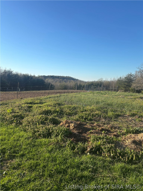 Listing Image 14