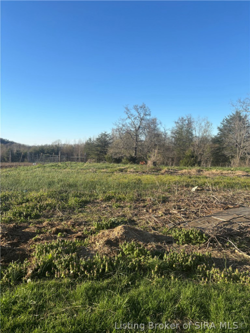 Listing Image 16