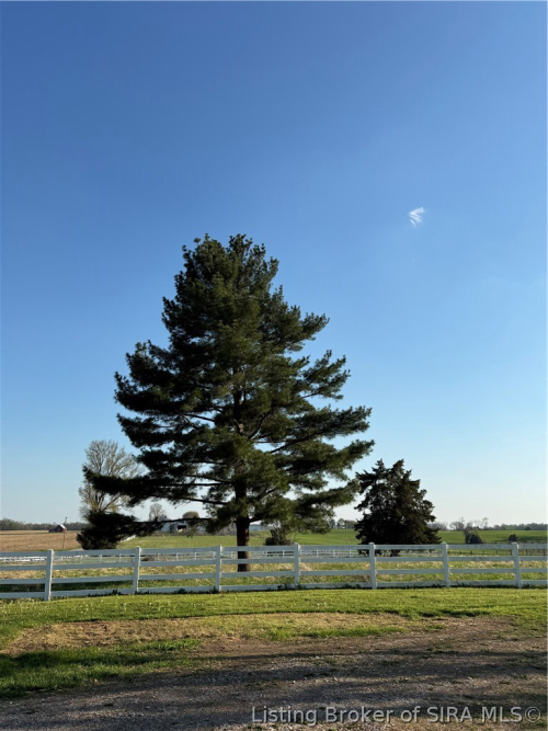 Listing Image 37