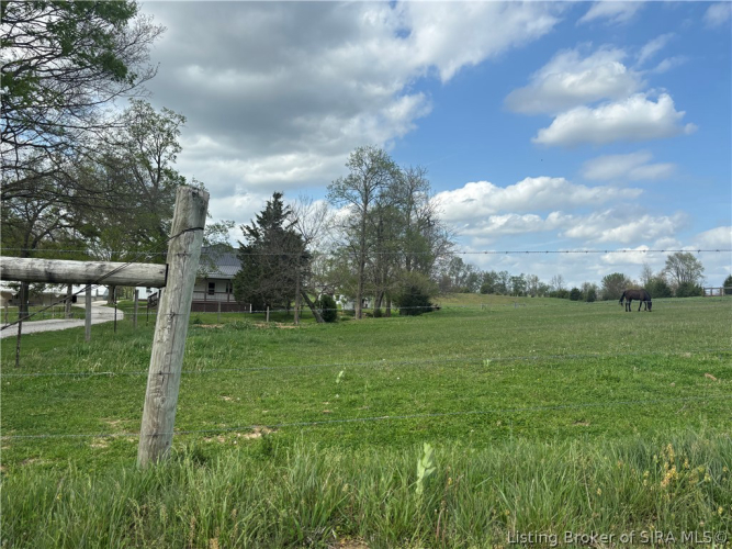 Listing Image 62