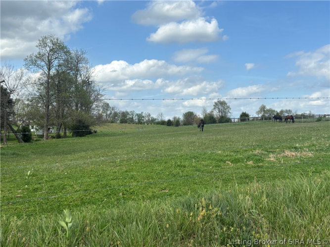 Listing Image 63