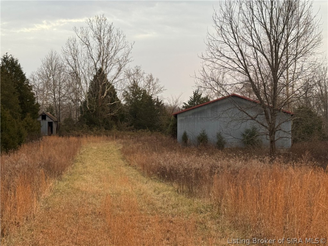 Listing Image 61