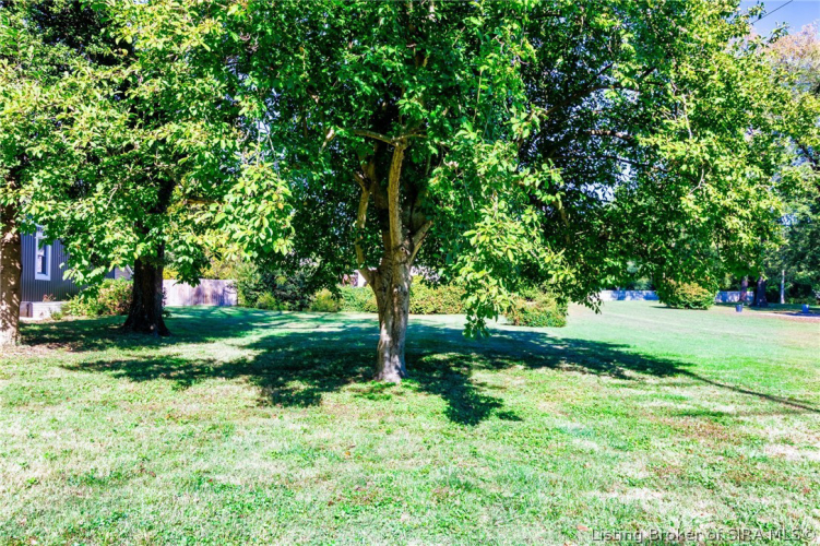 Listing Image 77