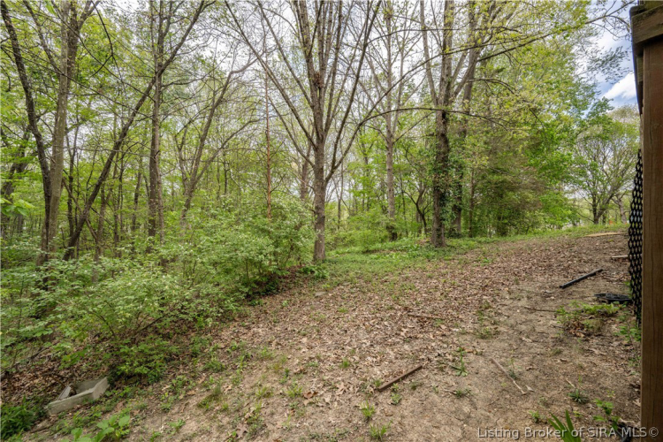Listing Image 27