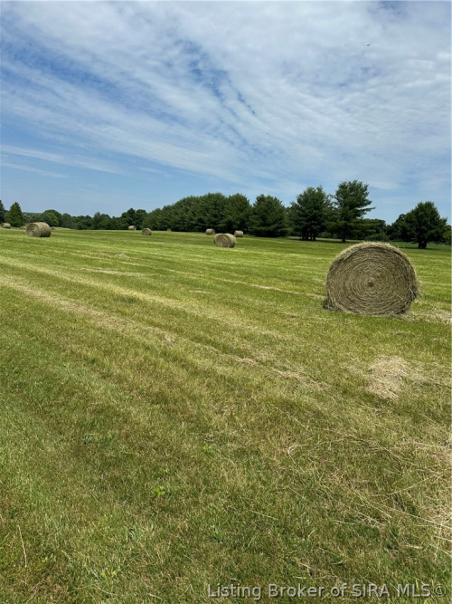 Listing Image 84
