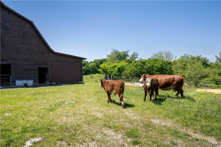 Listing Image 43