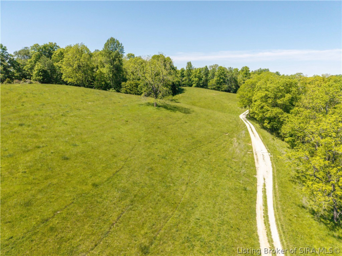 Listing Image 75