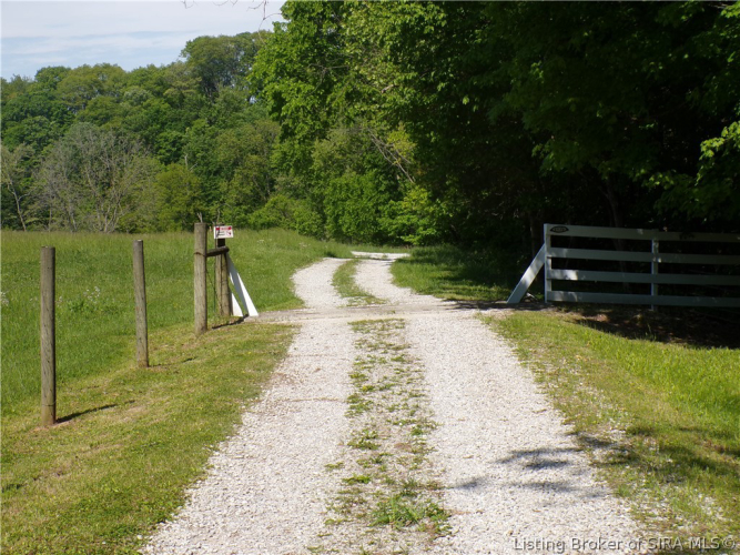 Listing Image 77