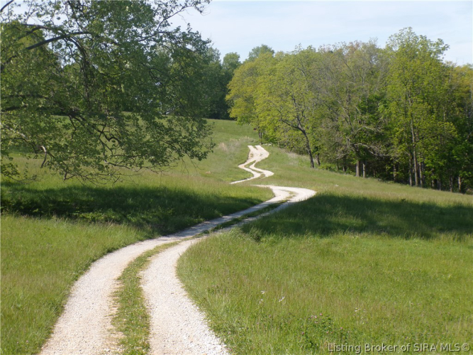 Listing Image 78