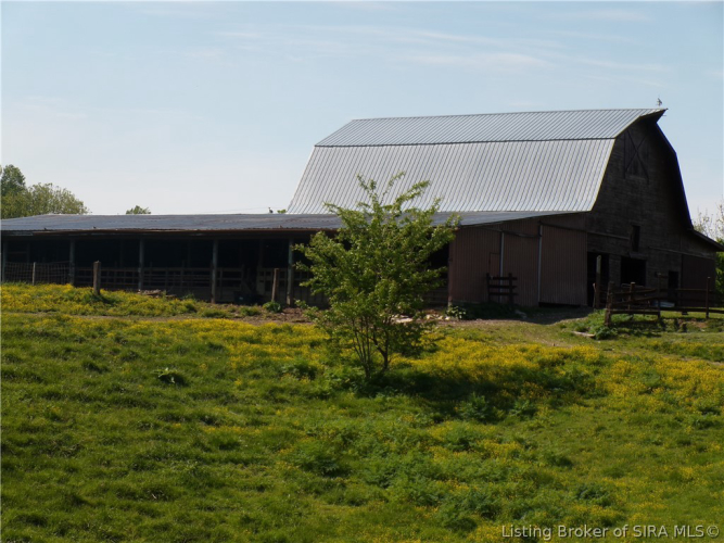 Listing Image 81