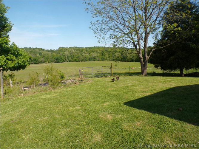 Listing Image 93