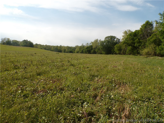 Listing Image 94