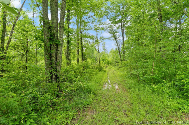 Listing Image 55