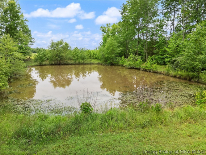 Listing Image 72