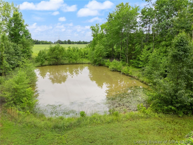 Listing Image 73