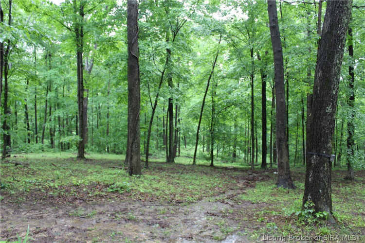 Listing Image 32