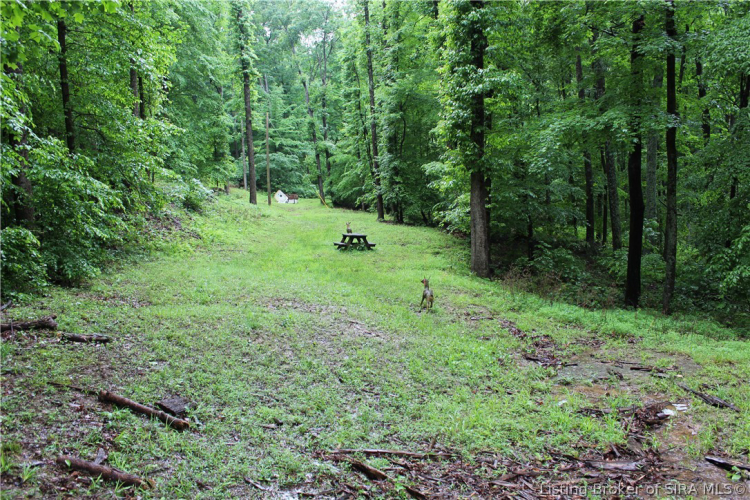 Listing Image 41