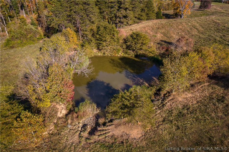 Listing Image 47