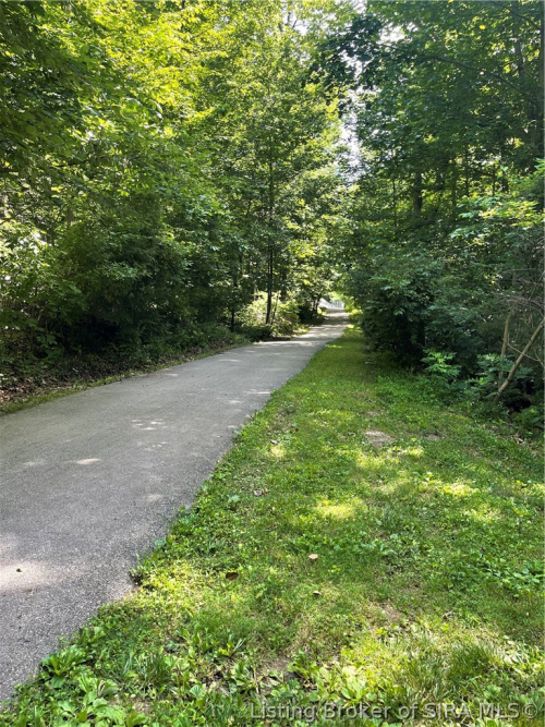 Listing Image 52