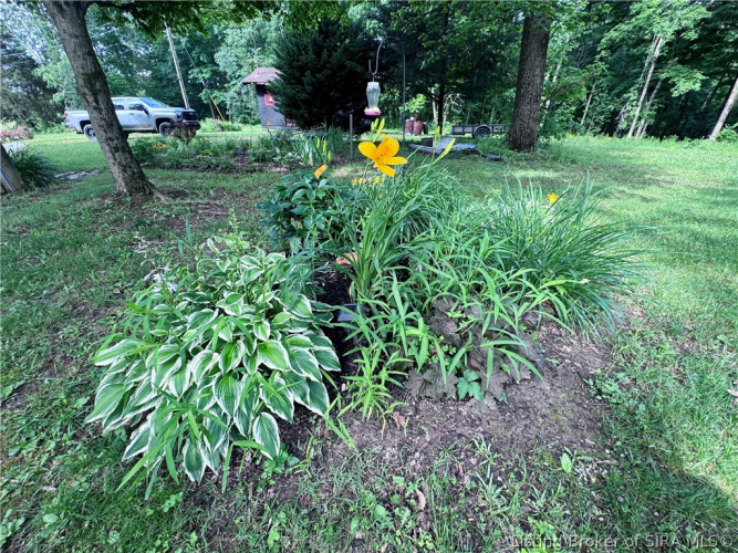 Listing Image 35