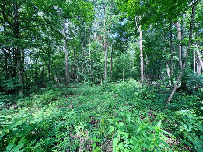 Listing Image 39