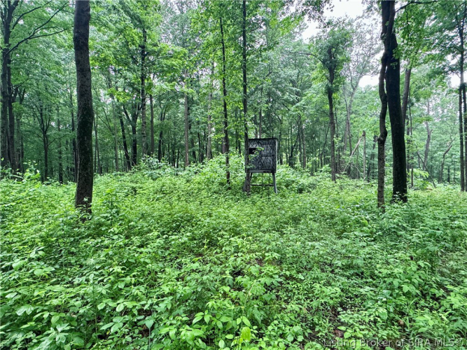Listing Image 43