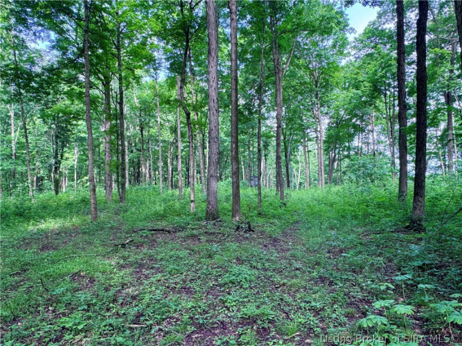 Listing Image 45