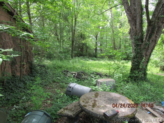 Listing Image 7