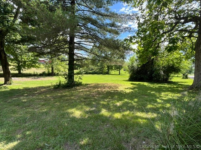 Listing Image 49