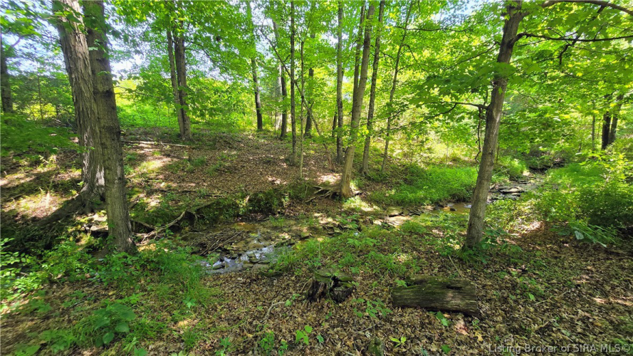 Listing Image 28