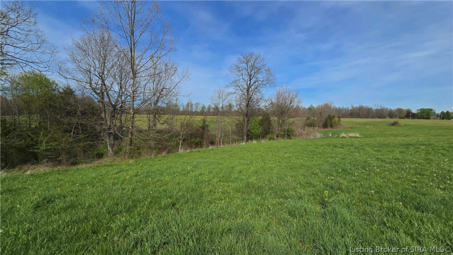 Listing Image 31