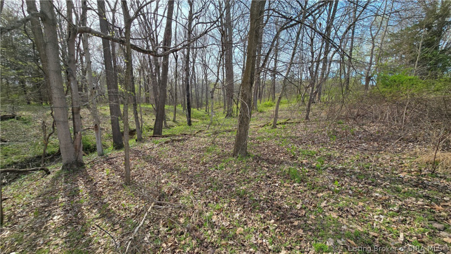 Listing Image 33