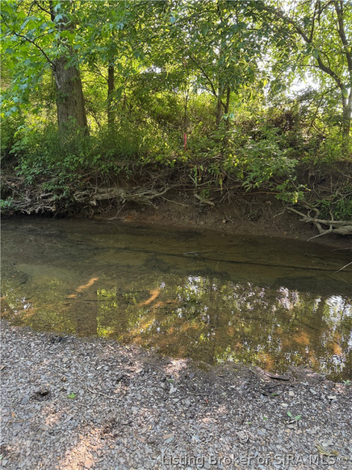 Listing Image 41