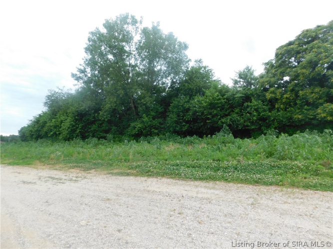 Listing Image 20