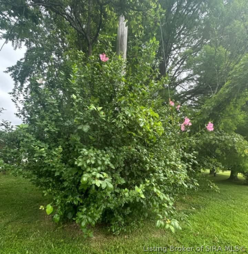 Listing Image 47