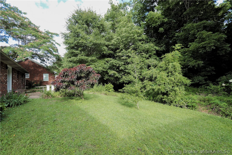 Listing Image 32