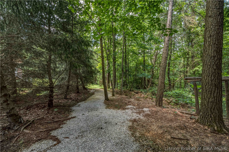 Listing Image 45
