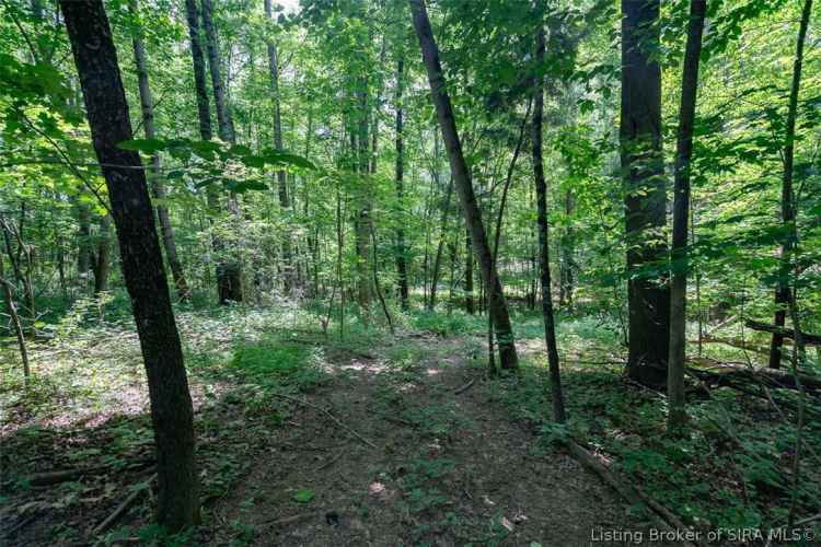 Listing Image 94
