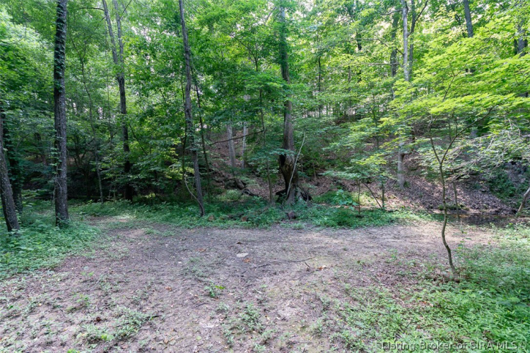 Listing Image 95