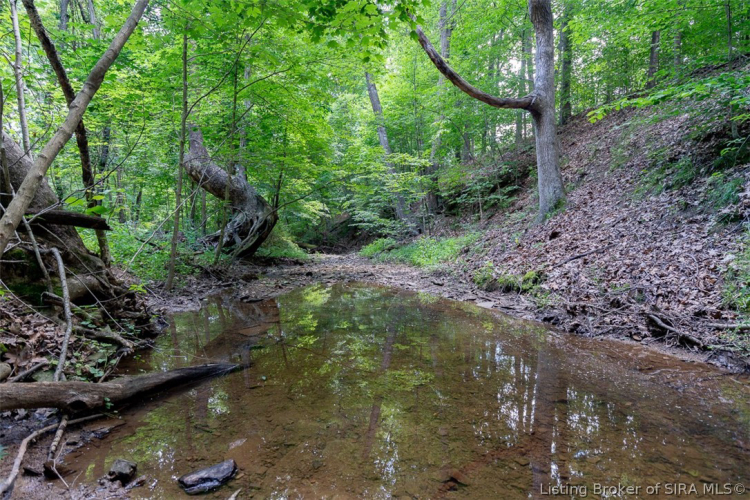 Listing Image 96