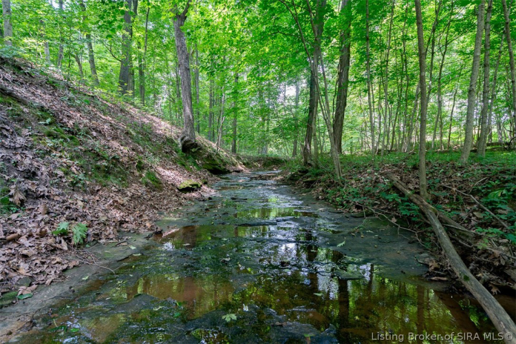 Listing Image 97