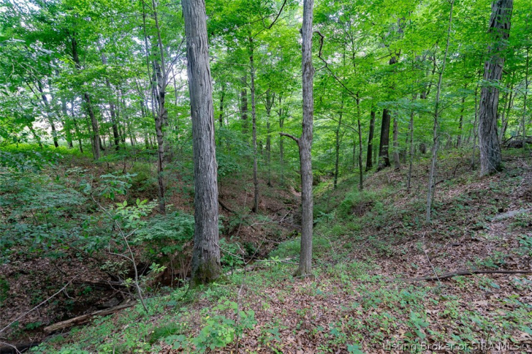 Listing Image 99