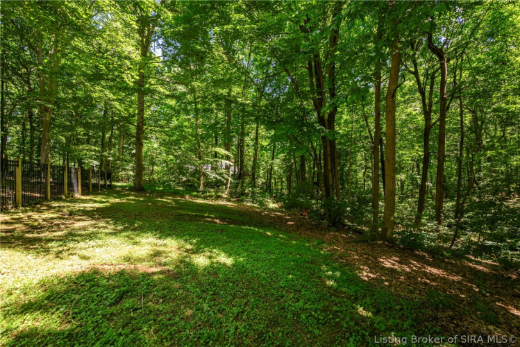 Listing Image 53